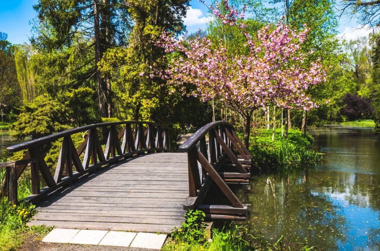 Sárvár Arboretum, Sárvár, Hungary, Hungary